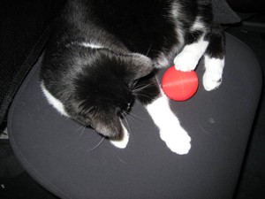 CAT FOOD BALL