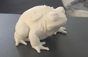 Giant Toad Collection (DND/TTRPG)