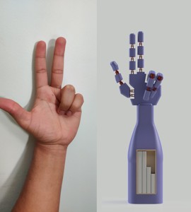 Mannequin Hand: 3D model