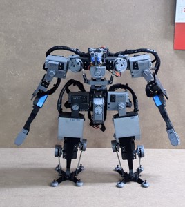 26 DOF HUMANOID ROBOT - ANVIL SS