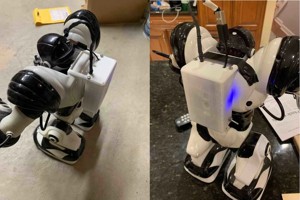 Robosapien Internet of Things Backpack