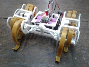 The Mistake (Screwless Klann linkage)