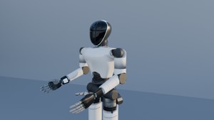 Humanoid ROBOT