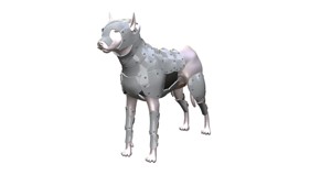 Dog Armor