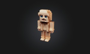 Voxel human