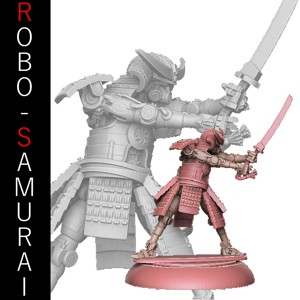 ROBO SAMURAI MK 7