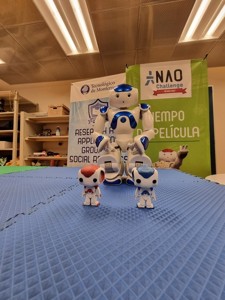 Nao robot mini version