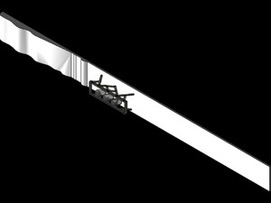 Walking Insect