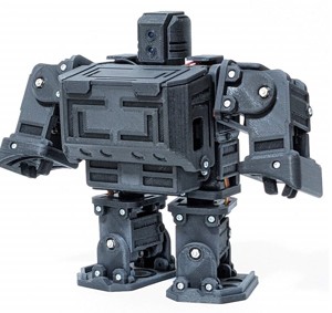 Raspberry Pi Pico Bipedal Robo (Draft)