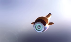 ROV