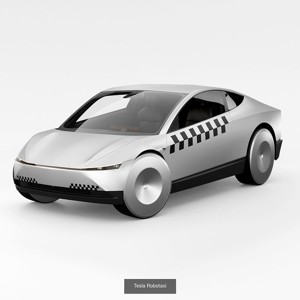 2 colors robotaxi set