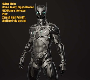 Cyber Ninja