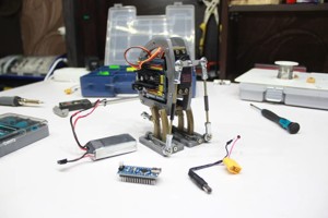 Biped Robot Walker V1.5