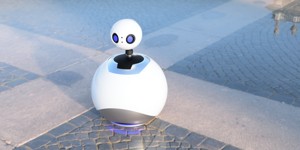 ROZ COVER FOR ALEXA ECHO DOT - ROZ COVER FOR ALEXA ECHO DOT