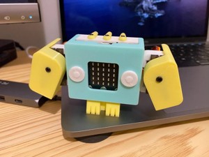Q1 bird (Designed by Jason Workshop)
