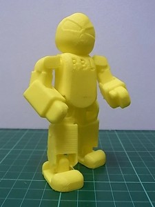 RBL Robot