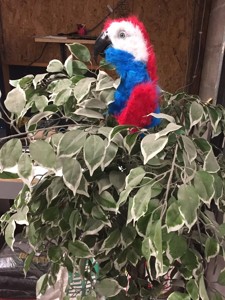 Niles the animatronic Parrot