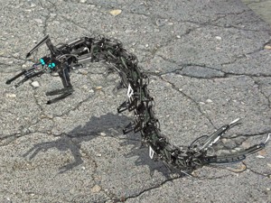 Worm - mechanical