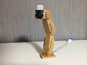 Raspberry Pi Camera Mount