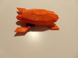 Turtle Robot
