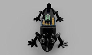 Robot educativo Zoomórfico reptil
