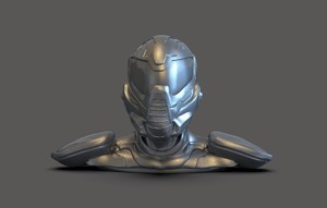 Cyborg Bust
