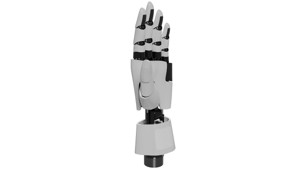 Robotic Hand