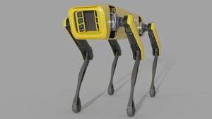 Robot Dog