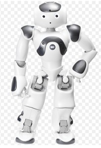 NIBO THE ROBOT