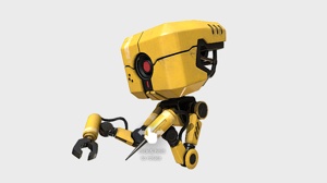 RobotPi