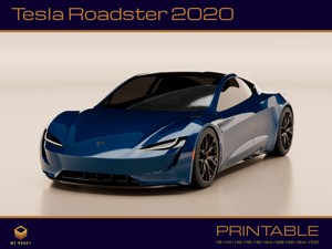 Tesla Roadster 2020