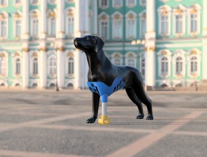 LEFT FRONT LIMB PROSTHESIS FOR DOGS - PROTESIS PARA PERRO MIEMBRO DELANTERO IZQUIERDO
