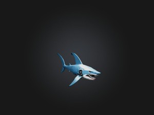 RoboShark Model