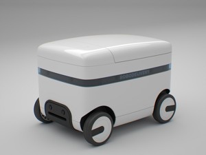 ROBODELIVERY - delivery robot