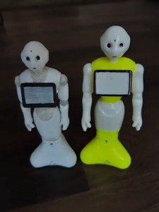 Pepper the robot