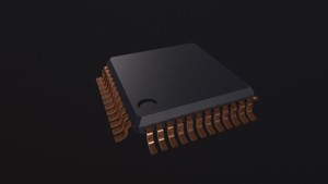 Microchip