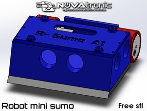 Mini Sumo Robot
