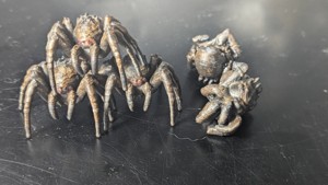 Giant Spider Collection (DND/TTRPG)