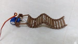Worm robot ( wave robot )