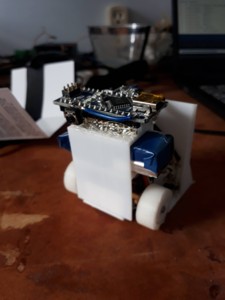 ROBOT SUMO 5X5 CM