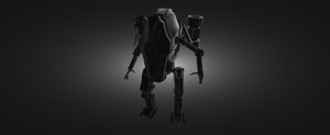 ROBOT ASSISTANT