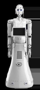 Robot arm for Hegel project