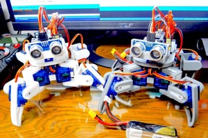 Arduino controlled 2-joint 8-servo 4-legged Walking Robot