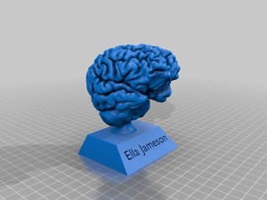 My Brain!