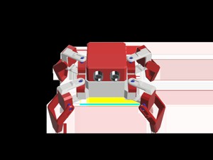 Otto Araña - Otto Spider - Otto quad