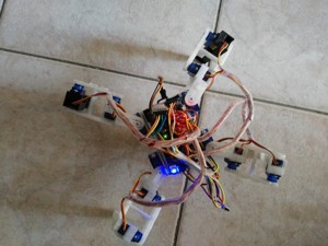 12 DOF Quad Robot