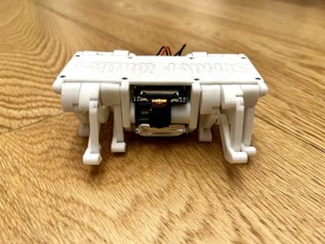 Strider Camera Robot v2