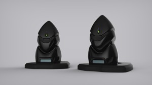 FLEeick Gnome