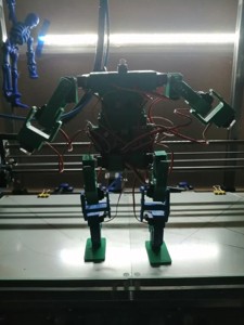 Structure robot ~20cm