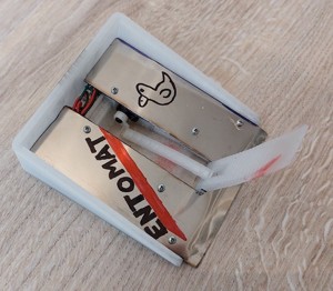 Entomat - Antweight Robot
